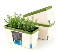 T4U Pots de Fleurs Auto-Arrosants Rectangulaires 27 cm Lot de 3