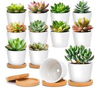 T4U Pots de Fleurs d’Intérieur en Céramique Lot de 12 avec Soucoupes