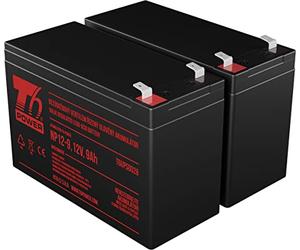 T6 Power Batterie pour Eaton 5SC1000IR VRLA 12V