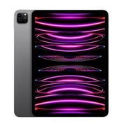TAB11 Apple iPad Pro 11 Wi-Fi 1TB spacegrau (4.Gen.) *NEW*