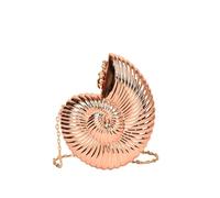 TABAGFKFNV Conch Niche Acrylic Chain Bag Women's Personality Leisure Trend Shoulder Snail Shape Messenger(Champagne)