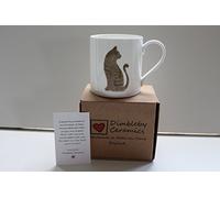Tabby Cat Tasse en porcelaine fine avec boîte cadeau - Fait à la main à Stoke on Trent, Angleterre