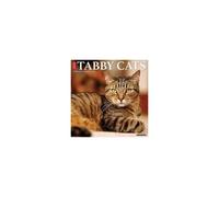 Tabby Cats 2026 Wall Calendar