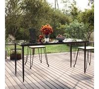 Table à dîner de jardin Noir 160x80x74 cm Acier et verre trempé