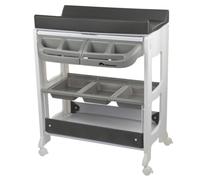 Table à langer et baignoire 2 en 1 dolphy mist gray TU