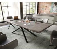 Table à manger Edge 260x100 XL acacia platine cadre croisé rectangle noir Live-Edge