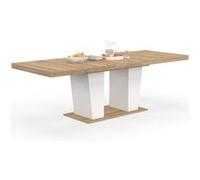 IDMarket Table à manger extensible ELIAD rectangle 8-12 personnes bois et blanc 200-250 cm