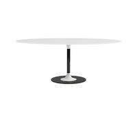 Table à manger Thierry XXL ovale LxWxH 192x118x72cm