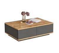 Table Basse 2 Abattants 2 Niches Chêne et Gris L 90 H 28.6 P 60 cm