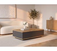 Table basse avec 2 portes - Naturel et Anthracite - LOTULA