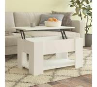 Table basse avec étagère Bois d'ingénierie Design de à Café en vidaXL vidaXL
