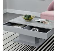 Table Basse de Salon Stylé avec 2 Espaces de Rangement Panneau de Particules 40 x 110 x 60 cm Effet Béton Gris [en.casa]