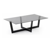 Table basse Palm 120 x 70 cm en verre noir