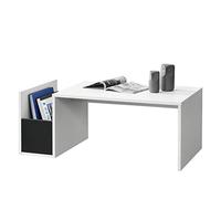 Table Basse pour Salon Meuble Stylé avec Compartiment de Stockage en Panneau de Particules Mélaminé 90 x 45 x 35 cm Blanc Noir