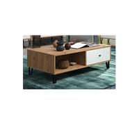 Table basse rectangulaire 2 tiroirs 2 niches 110x60x37 cm - ARI
