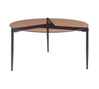 Table basse Ulökantaa acier verre fumé 80 x 40 cm marron