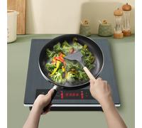 Table de cuisson à induction portable, Plaque de cuisson électrique à induction, Gris