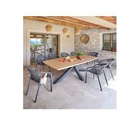 Table de jardin 10 places Oraclion effet bois pied étoile Hespéride
