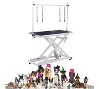 Table de toilettage électrique pour animaux de compagnie, hauteur réglable de 30 à 120 cm