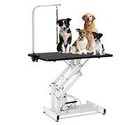 Table de toilettage pour chien/chat/animal de compagnie, table de coupe, table de toilettage hydraulique pour animaux de compagnie, table de toilettage professionnelle pour chien, support am