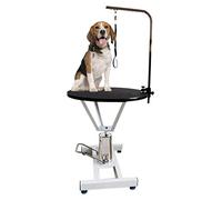 Table de toilettage pour chien/chat/animal de compagnie, table de toilettage professionnelle pour chien, table de toilettage hydraulique à levage libre et robuste, avec station de toilettage
