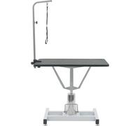 Table de tonte hydraulique pour salle de bain pour animaux domestiques