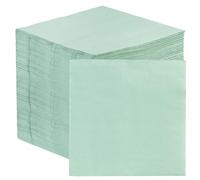 Table Fun 100 x Serviettes en Papier Vert Sauge Doux | 2 plis 33 cm | Serviettes de fête jetables pour mariages, baby showers, enterrements de vie de jeune fille et baptêmes