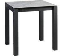 Table haute extensible sans tiroir ALTOBUY 4 personnes en verre 100 x 100 cm Gris G