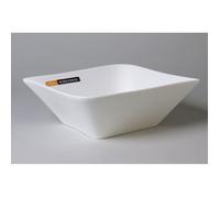 TABLE PASSION - SALADIER 23.5CM MELODY