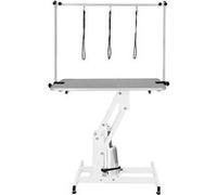 Table Toilettage Hydraulique - Cadre Acier Blanc Robuste & Plateau Gris