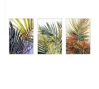 Tableau Abstrait sur Toile Représentant Des Feuilles de Palmier Naturelles Paysage Affiche et Impression Décoration Murale pour Salon Cuisine Chambre à Coucher et Maison-50*60cm-3PCS (sans cadre)