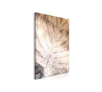 Tableau - Amber Monstera (1 Part) Vertical - 80x120 Artgeist (549) G