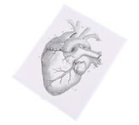 Tableau Anatomique du Muscle Cardiaque pour Étude en Toile Fibre Chimique | Impression Nette, Compréhension Structure Cardiaque, pour Enseignants de Biologie, Étudiants, Murs