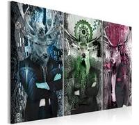 Tableau Animal Trio (3 Parts) Colorful-Taille L 90 x H 60 cm Imprimé