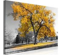 Tableau - Autumn in the Park (1 Part) Wide Gold - 120x80 (863)