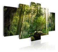 Tableau Beauté de la forêt-Taille L 100 x H 50 cm Imprimé G