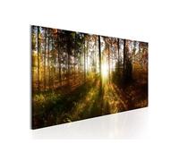 Tableau - Beautiful Forest - 120x40 (1183)