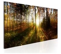 Tableau - Beautiful Forest - 120x40 Artgeist (1183) G