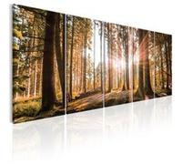 Tableau Beauty of Nature-Taille L 225 x H 90 cm Imprimé G