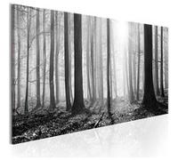 Tableau - Black and White Forest - 135x45 Artgeist (1391) G