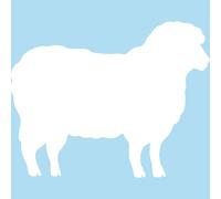 Tableau blanc mouton