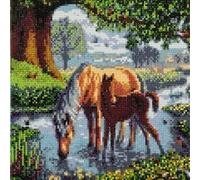 Oz International Crystal Art Kit Tableau Broderie Diamant 30x30cm Chevaux