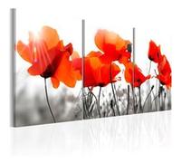 Tableau Charming Poppies-Taille L 120 x H 60 cm