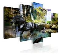 Tableau Cheval noir sur fond de Cascade Paradis-Taille L 200 x H 100 cm Multicolore G