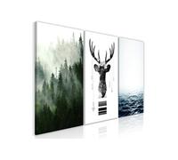 Artgeist - Tableau - Chilly Nature (Collection) 120 x 60 cm NC G