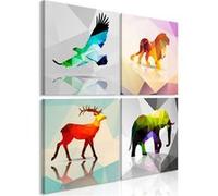 Tableau Colourful Animals (4 Parts)-Taille L 80 x H 80 cm Imprimé G