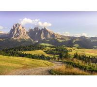 Tableau composite en aluminium 110 x 70 cm : Alpe di Siussi ou Alpe de Siusi, Dolomiten Alps Sassolungo et Sassopiatto, montagnes et sentiers, Trentino Alto Adige Sud Tirol (236301831)