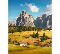 Tableau composite en aluminium 80 x 100 cm : Alpe di Siussi ou Alpe de Siusi, Dolomites Alps Sassolungo et Sassopiatto Mountains, région Trentino Alto Adige South Tirol (236302667)