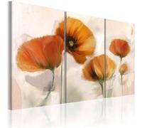Tableau Coquelicots artistiques triptyque-Taille L 120 x H 80 cm Imprimé G