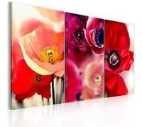Tableau - Coquelicots - trois perspectives - 90x60 Artgeist (7781) G
